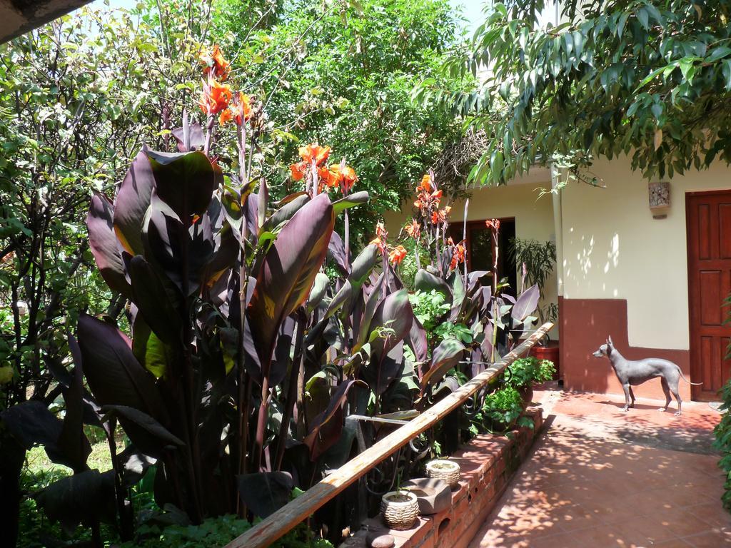 Kukuli Lodge B&B Cusco Extérieur photo